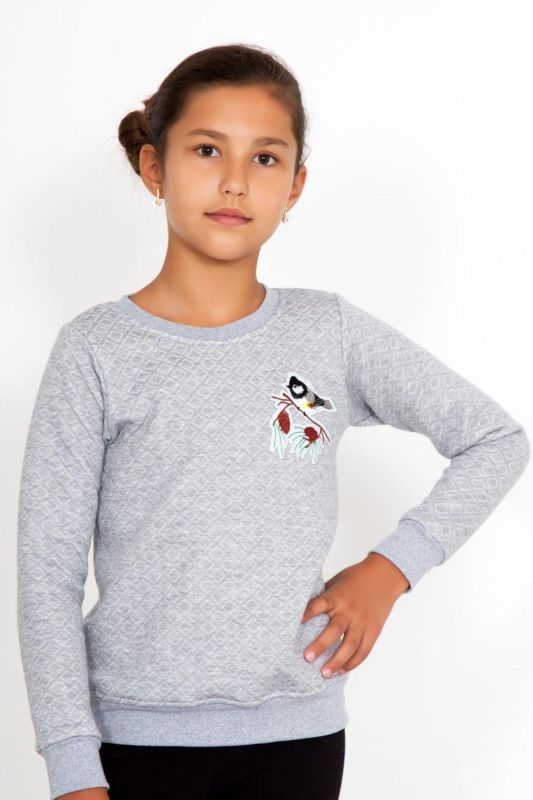 Bird sweatshirt article 3851