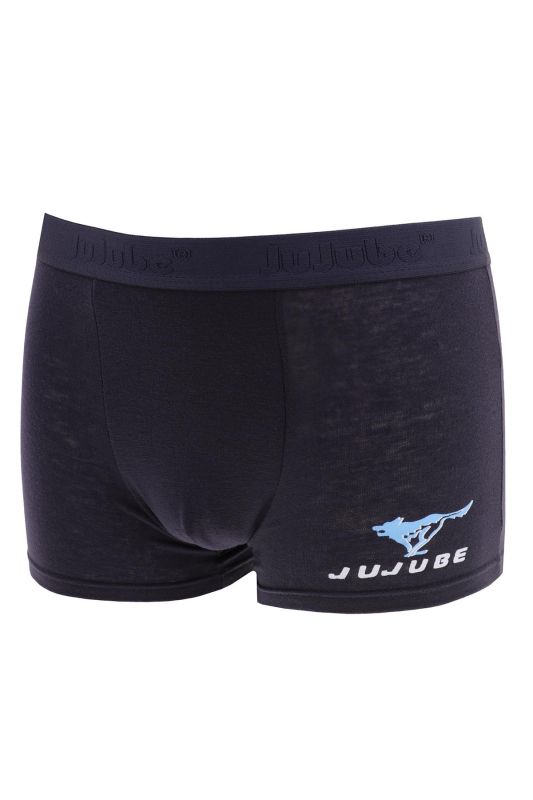 Men's Stretch Boxers article 2753