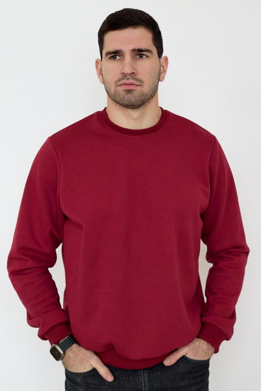 Men's Sweatshirt Brond M article 9812