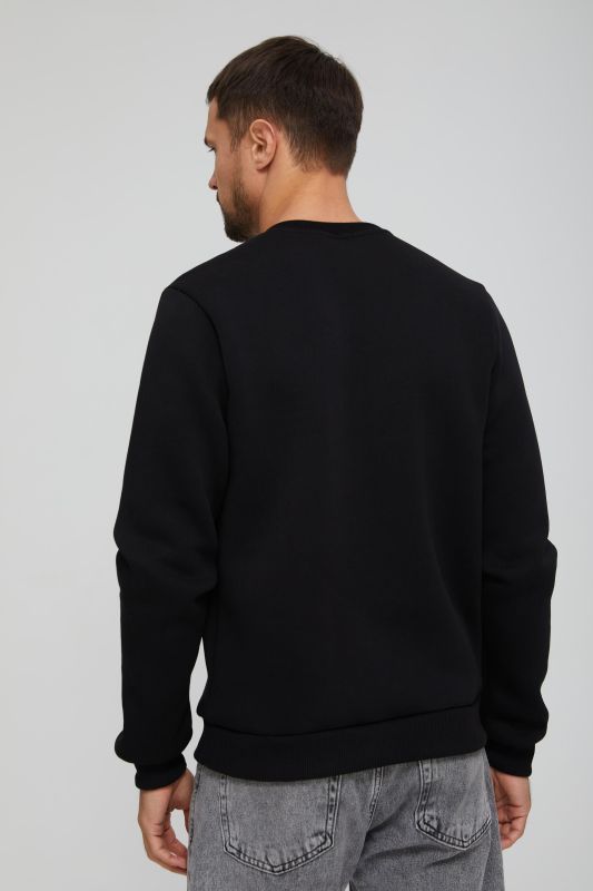 Men's Sweatshirt article 8985