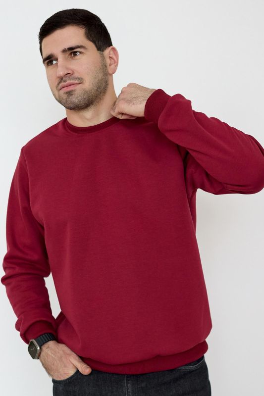 Men's Sweatshirt Brond M article 9812